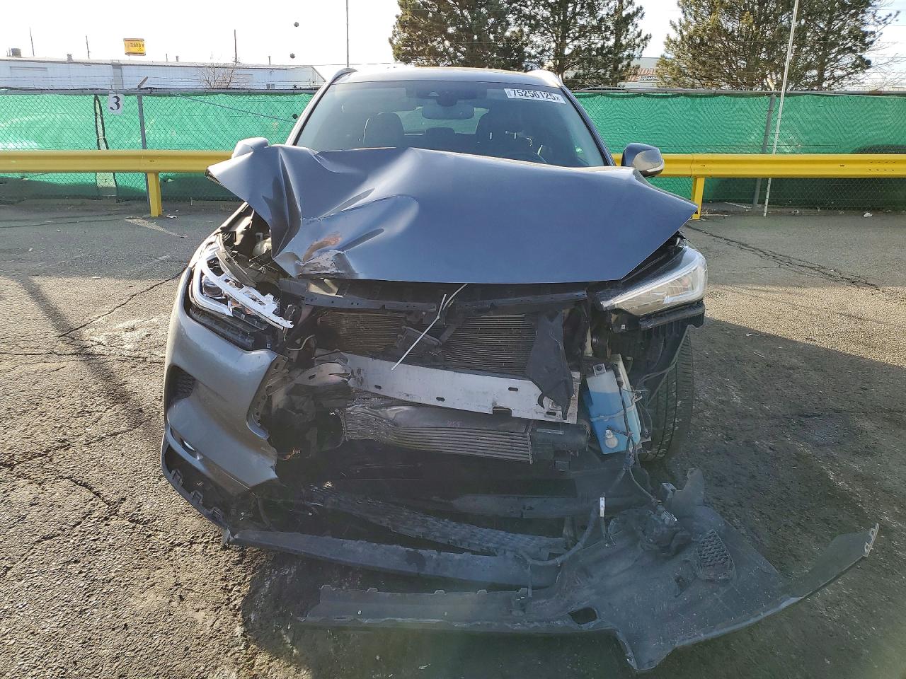 2021 Infiniti Qx50 VIN 3PCAJ5CB3MF101147 photo 5