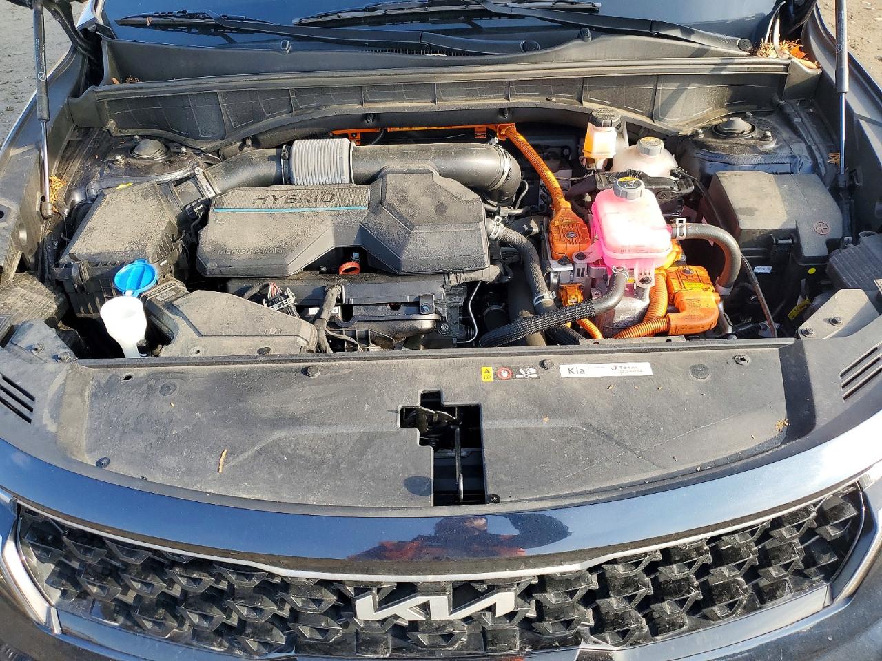 2023 Kia Sorento hybrid VIN KNDRHDLG0P5213379 photo 12