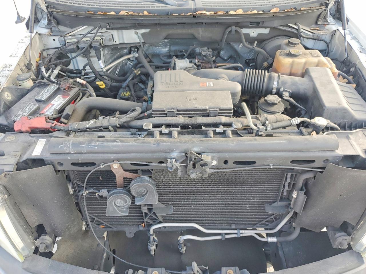 2010 Ford F150 VIN 1FTMF1CW6AKC08685 photo 11