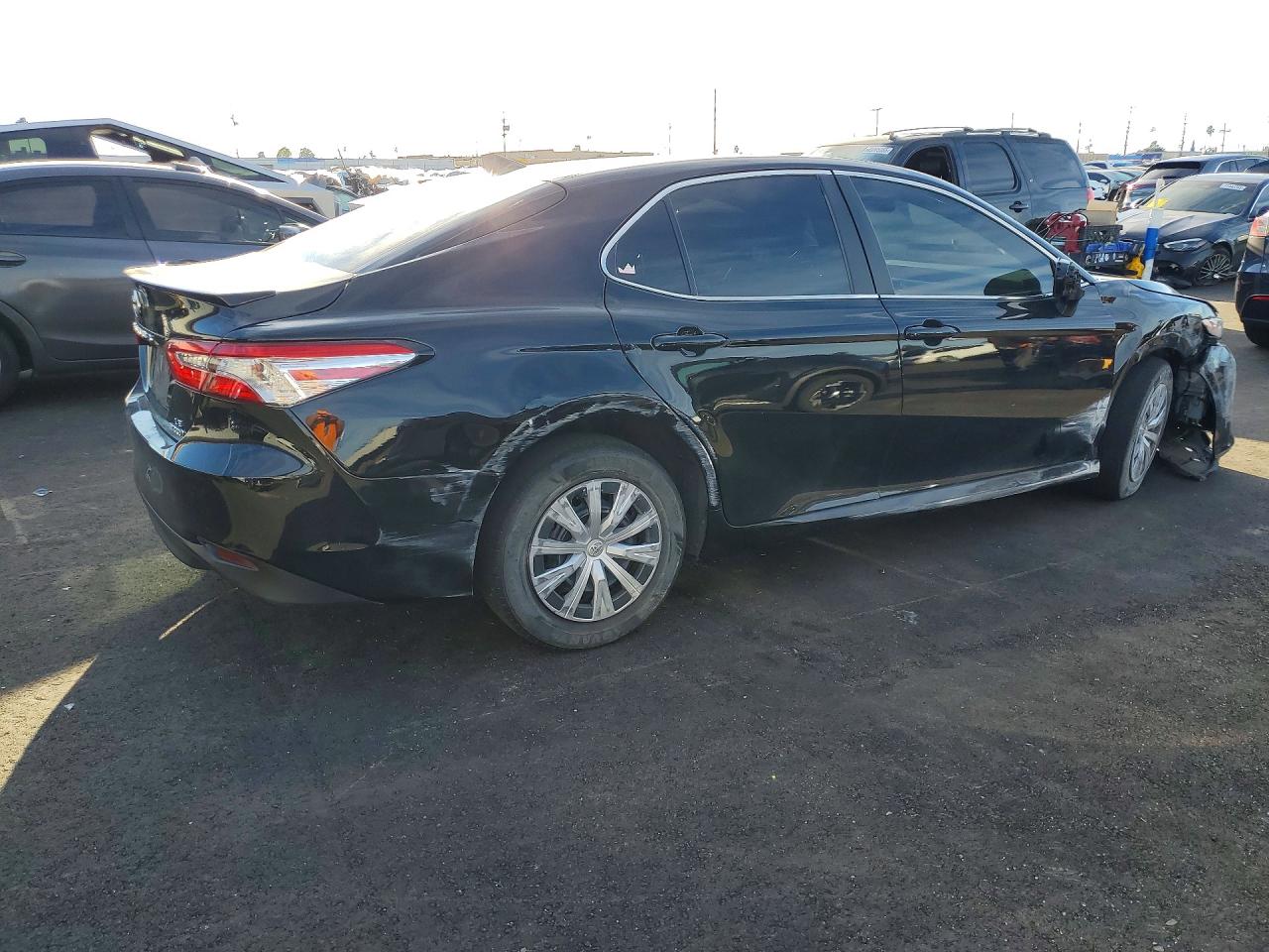 2019 Toyota Camry sola VIN 4T1B31HK1KU515267 photo 3