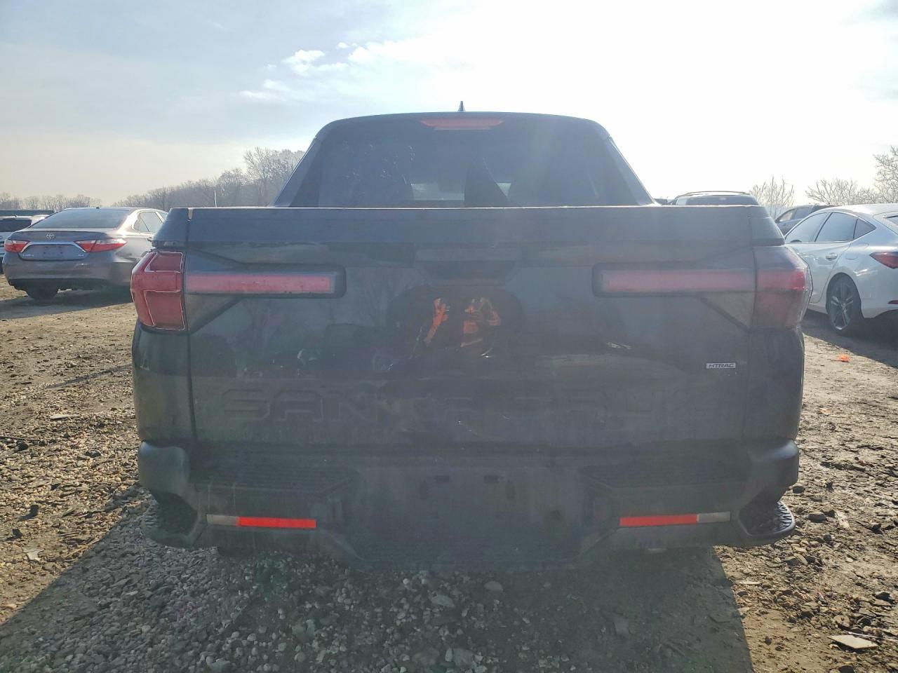 2024 Hyundai Santa cruz VIN 5NTJBDDE1RH119219 photo 6