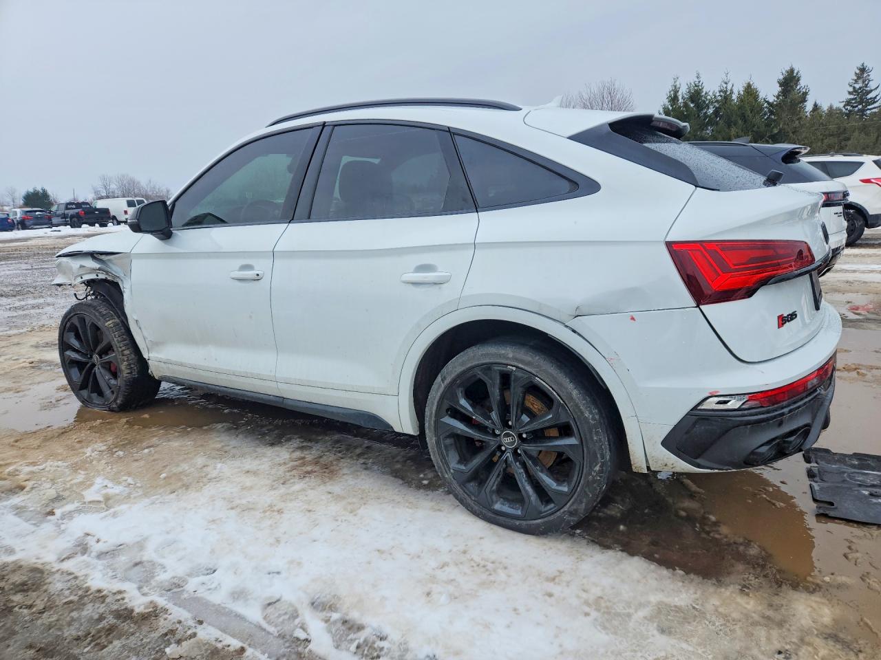 2023 Audi Sq5 sportb VIN WA134AFY9P2147642 photo 2