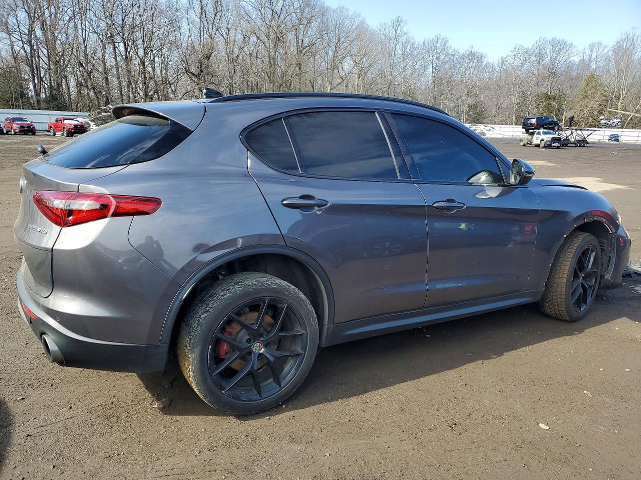 2019 Alfa Stelvio VIN ZASPAKBN7K7C50689 photo 3