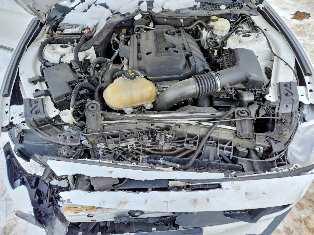 2018 Ford All models VIN 1FA6P8TH0J5161562 photo 11