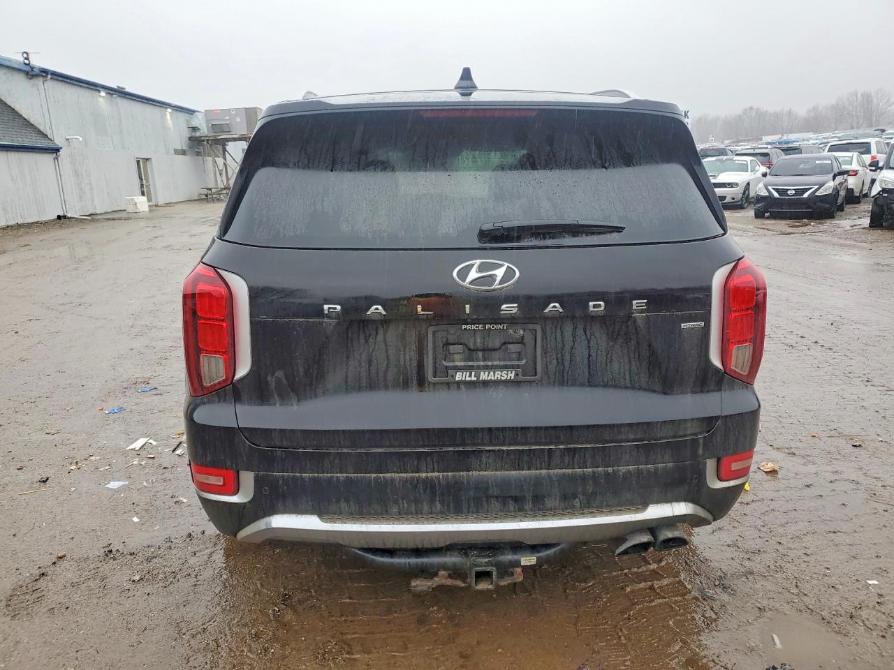 2020 Hyundai Palisade VIN KM8R5DHE2LU072472 photo 6