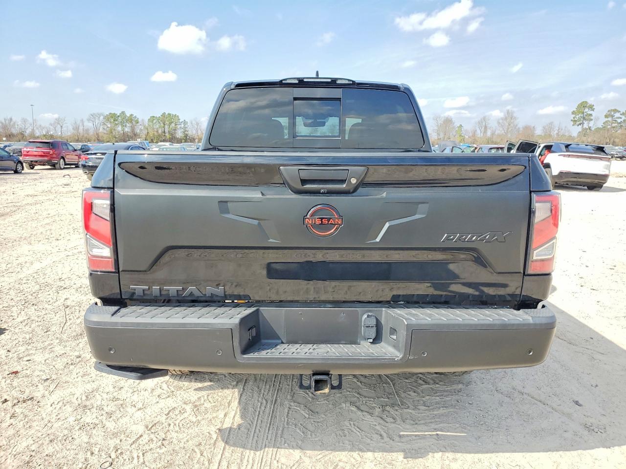 2024 NISSAN Titan pro- VIN 1N6AA1ED9RN113154 photo 6