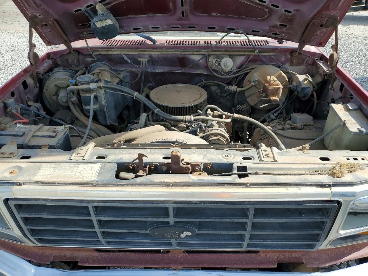 1982 Ford Bronco VIN 1FMEU15F5CLA01592 photo 11