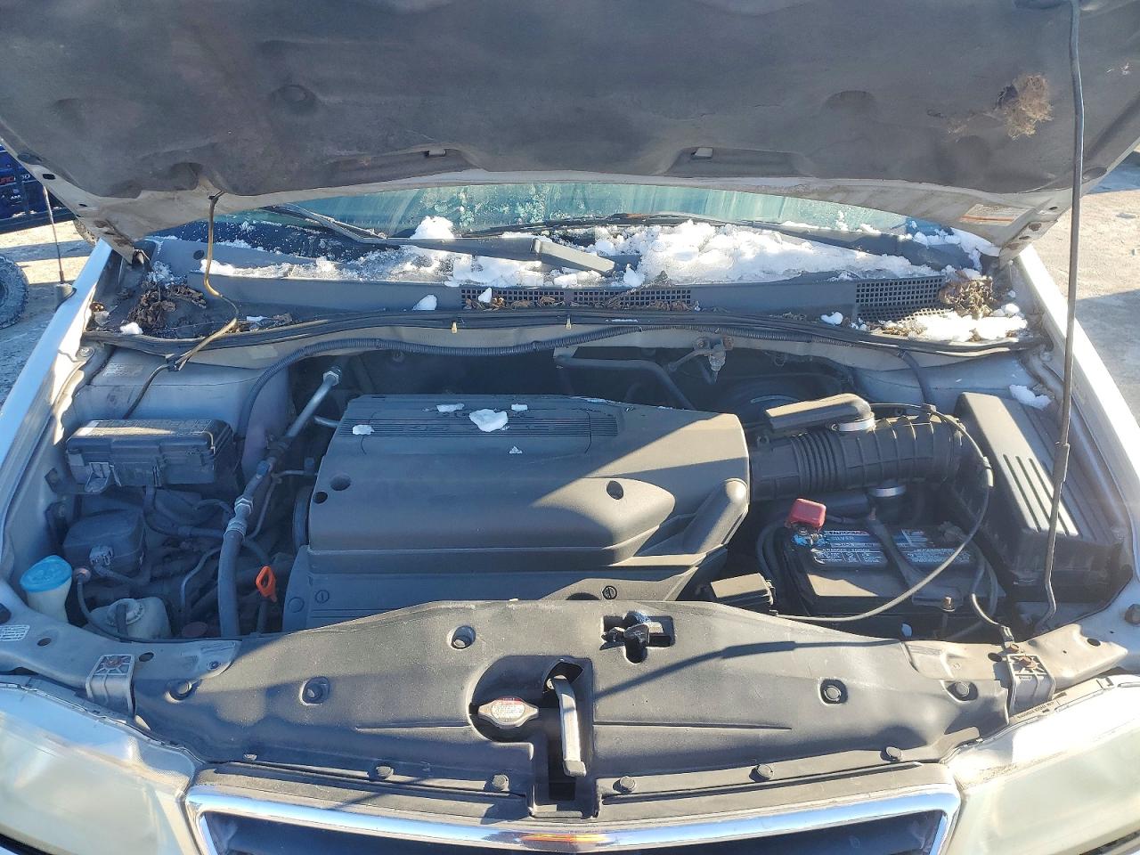 2003 HONDA All models VIN 5FNRL186X3B004379 photo 12