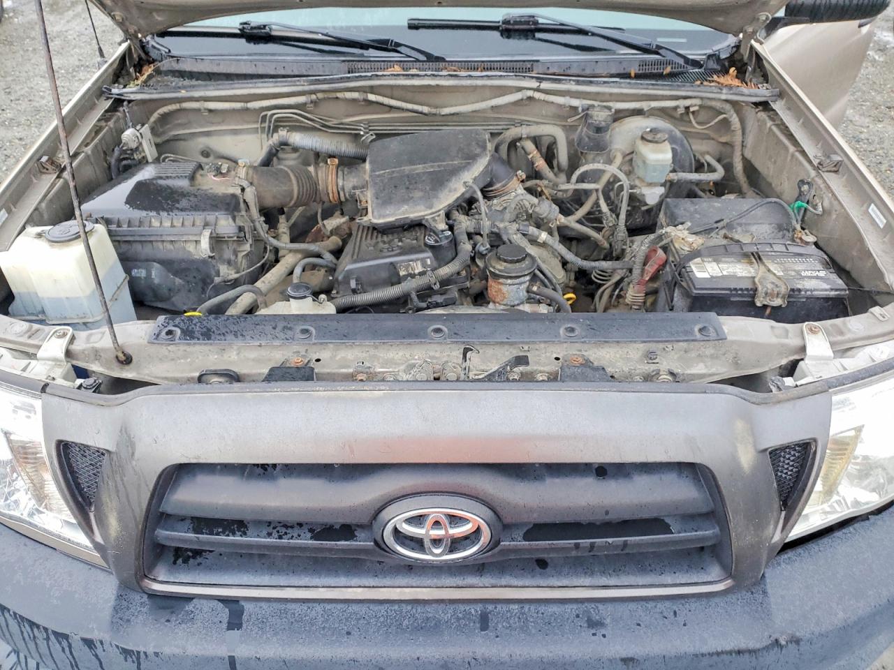 2006 Toyota All models VIN 5TEPX42N56Z217949 photo 11