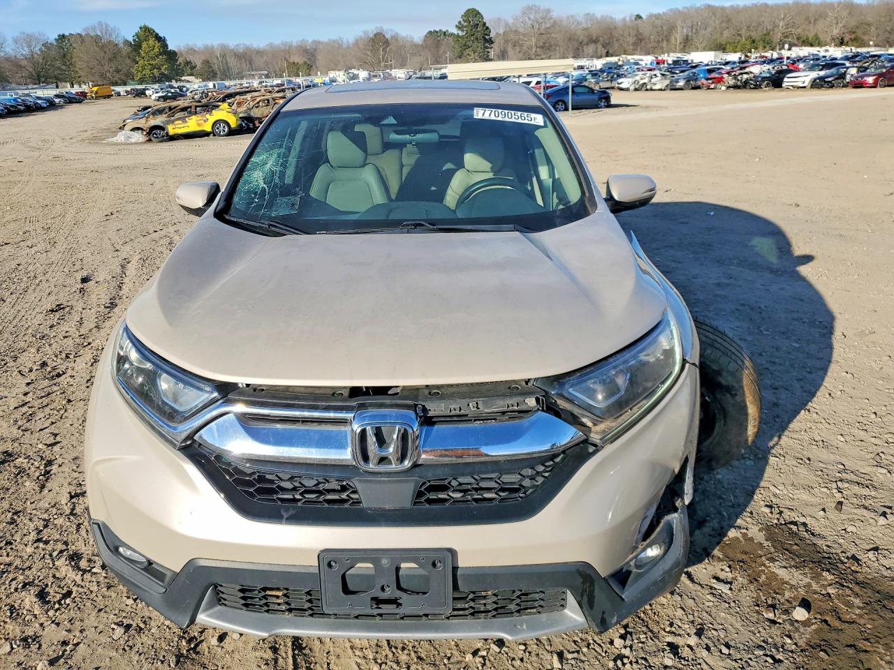 2019 Honda Crv VIN 5J6RW1H58KL001064 photo 5