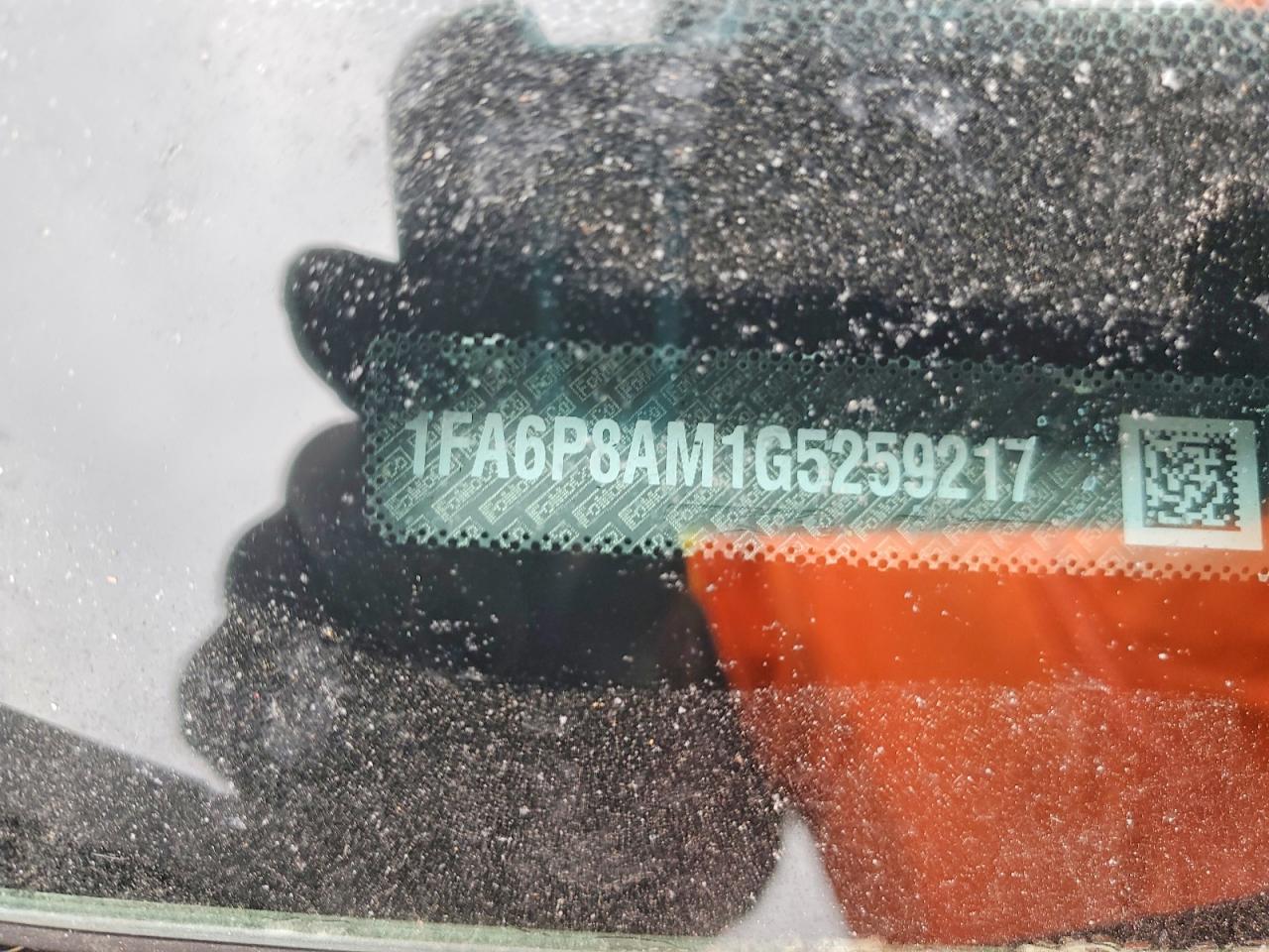 2016 Ford All models VIN 1FA6P8AM1G5259217 photo 12