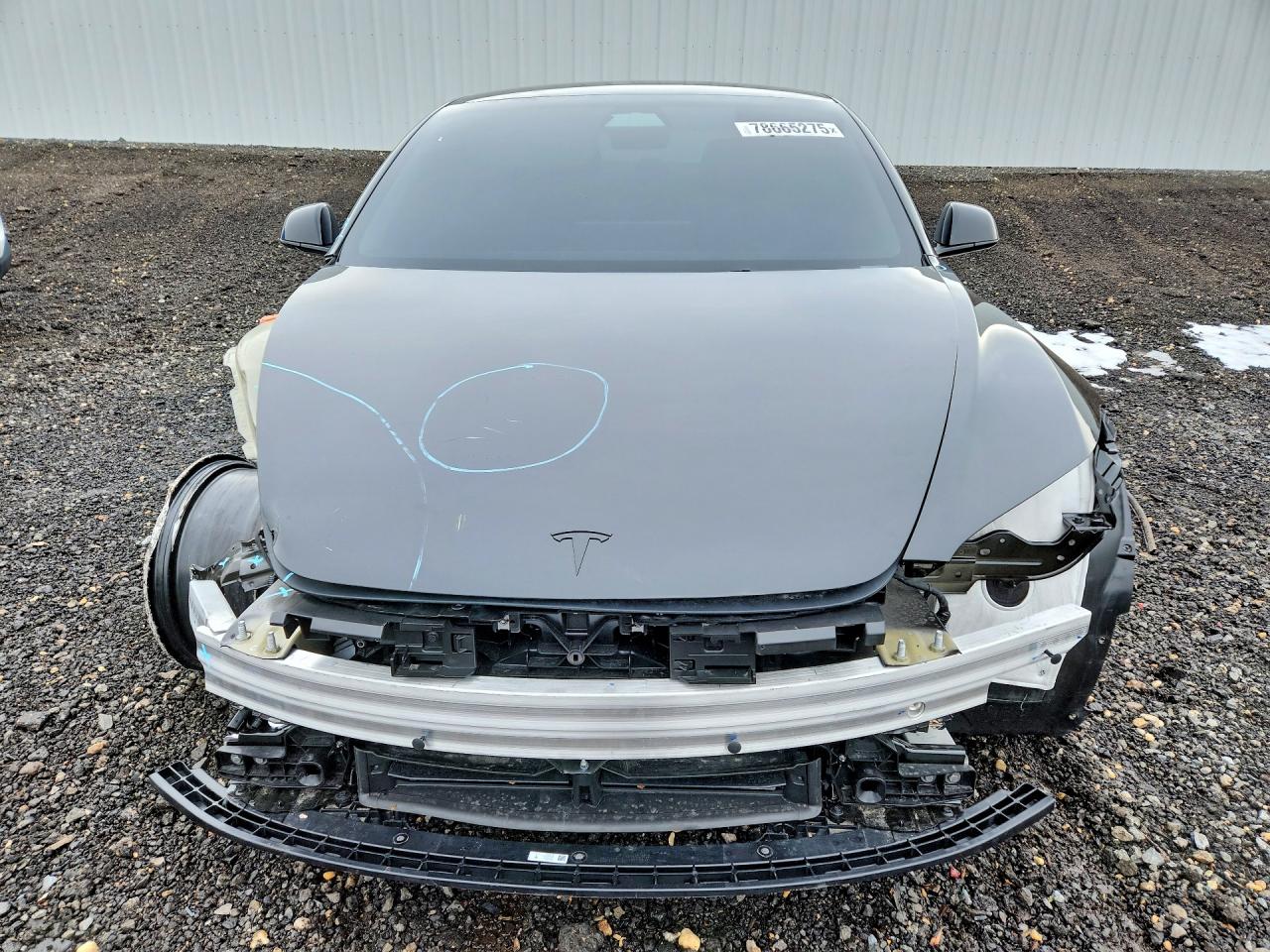 2026 Tesla Model 3 VIN 5YJ3E1EAXTF116219 photo 5