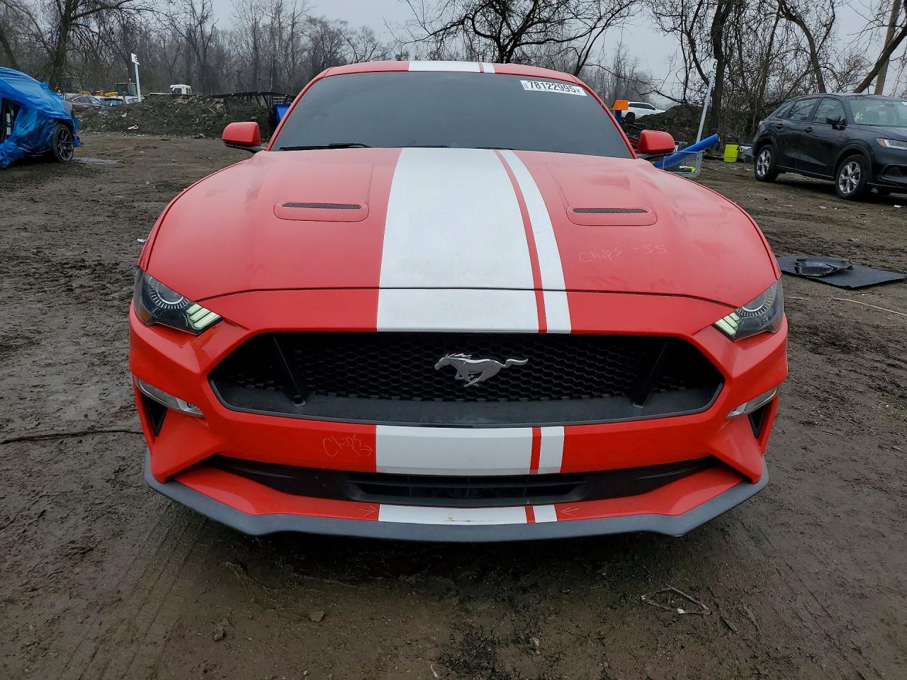 2019 Ford Mustang VIN 1FA6P8CF1K5164227 photo 5