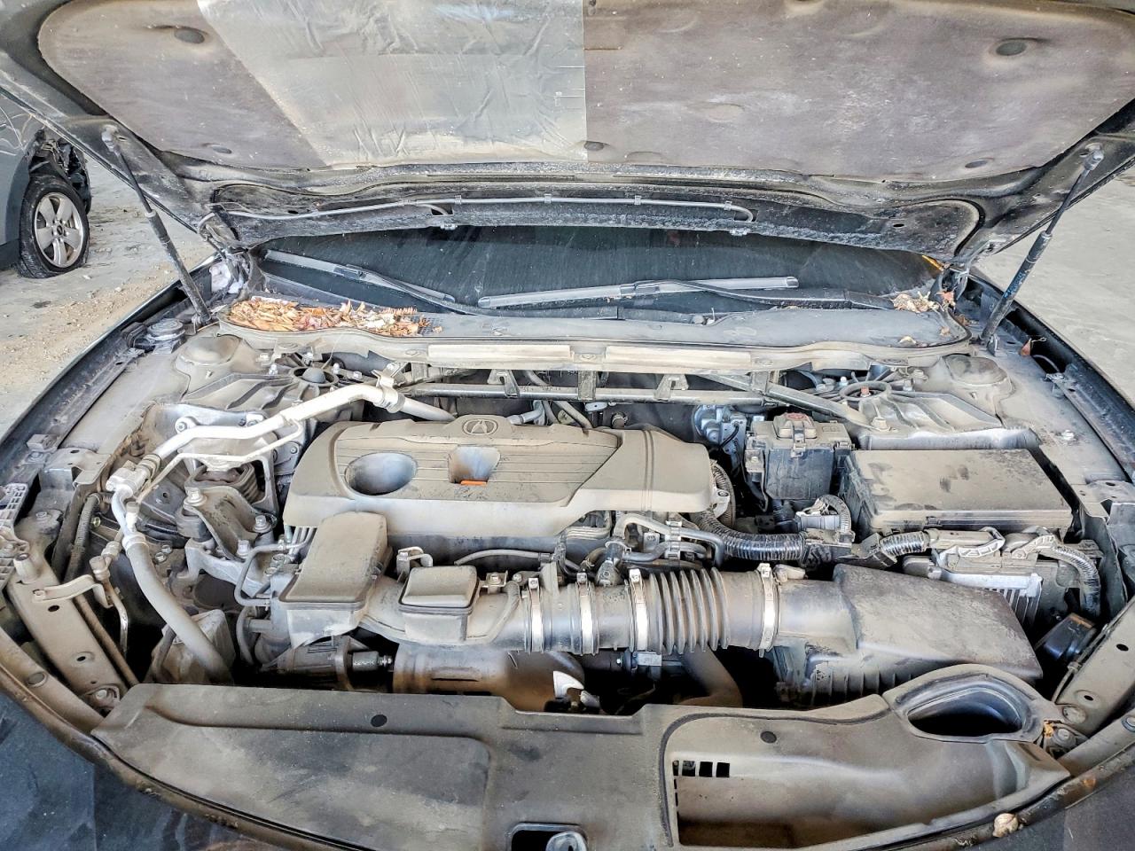 2021 ACURA Tlx VIN 19UUB6F58MA001271 photo 11