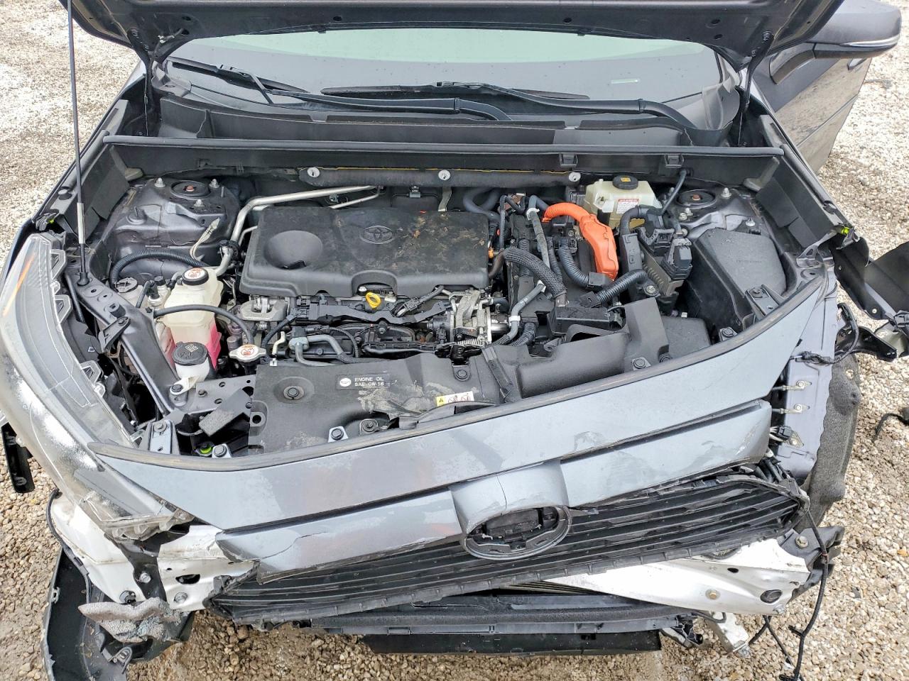 2019 Toyota Rav4 hybrid VIN JTMMWRFV2KD019328 photo 12