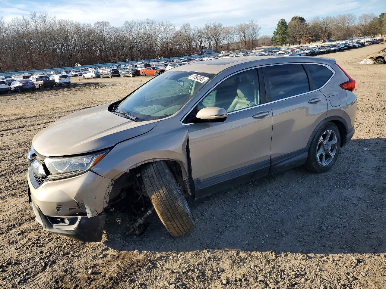 2019 Honda Crv VIN 5J6RW1H58KL001064 photo 1