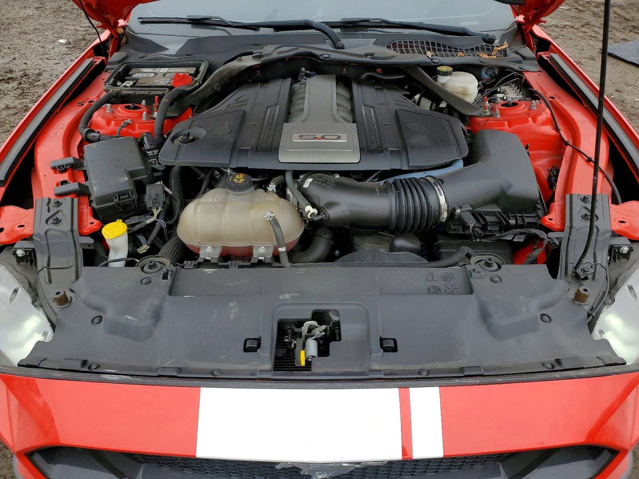 2019 Ford Mustang VIN 1FA6P8CF1K5164227 photo 11
