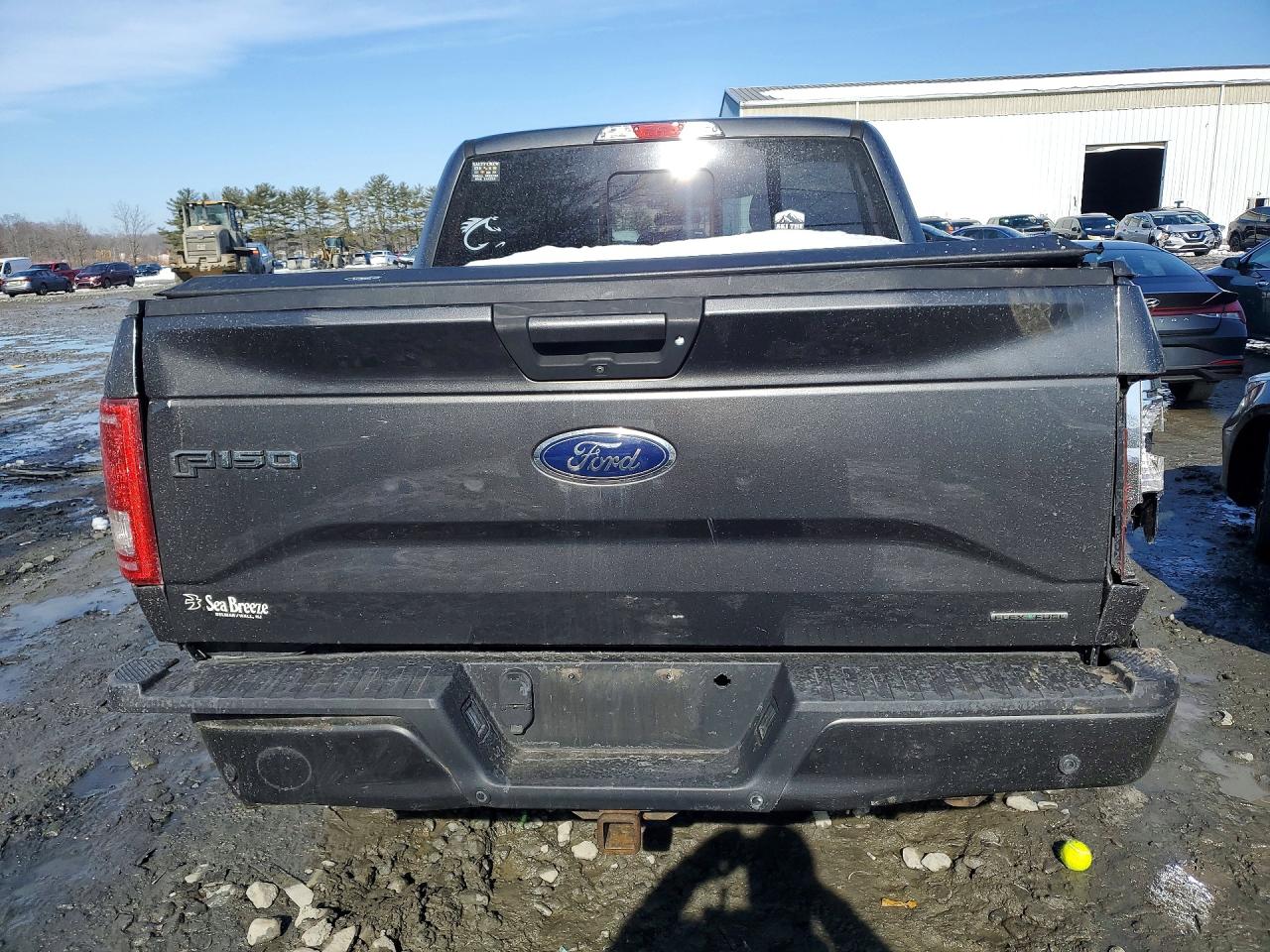 2016 Ford F150 VIN 1FTEW1EF7GFA94778 photo 6