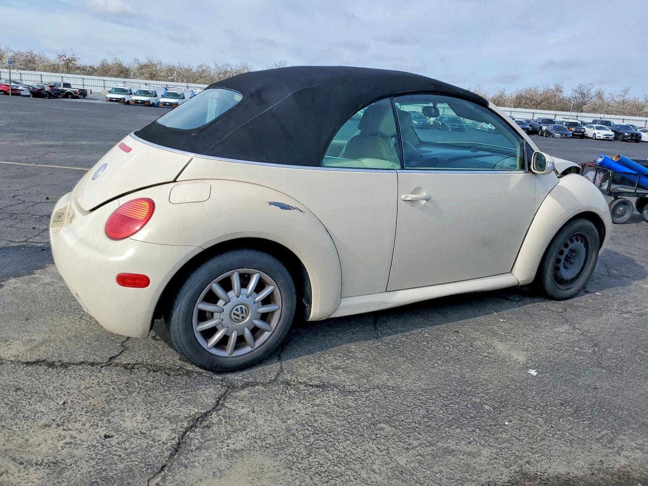 2005 Volkswagen Beetle VIN 3VWCM31Y25M356202 photo 3