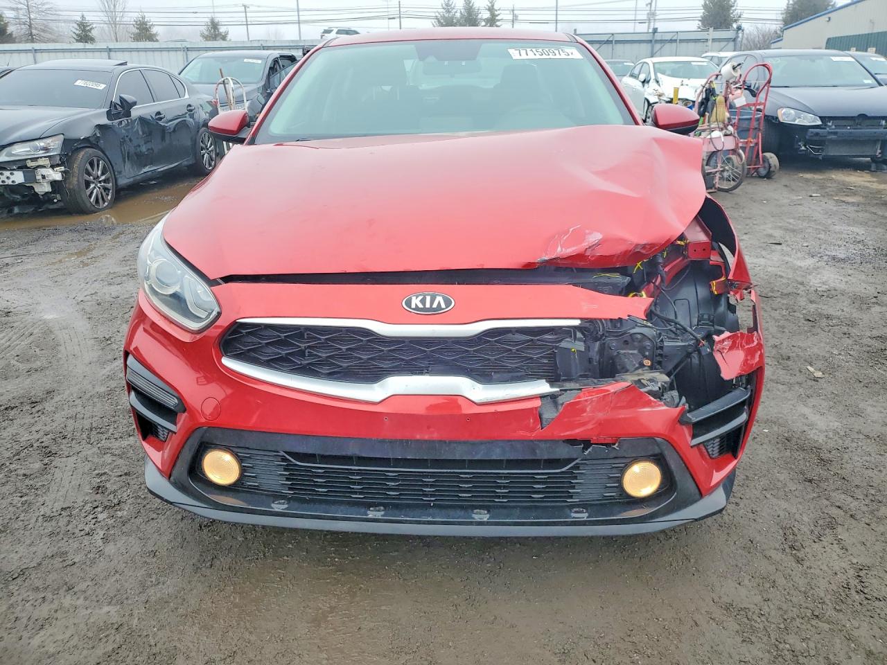 2020 Kia Forte VIN 3KPF24ADXLE193119 photo 5