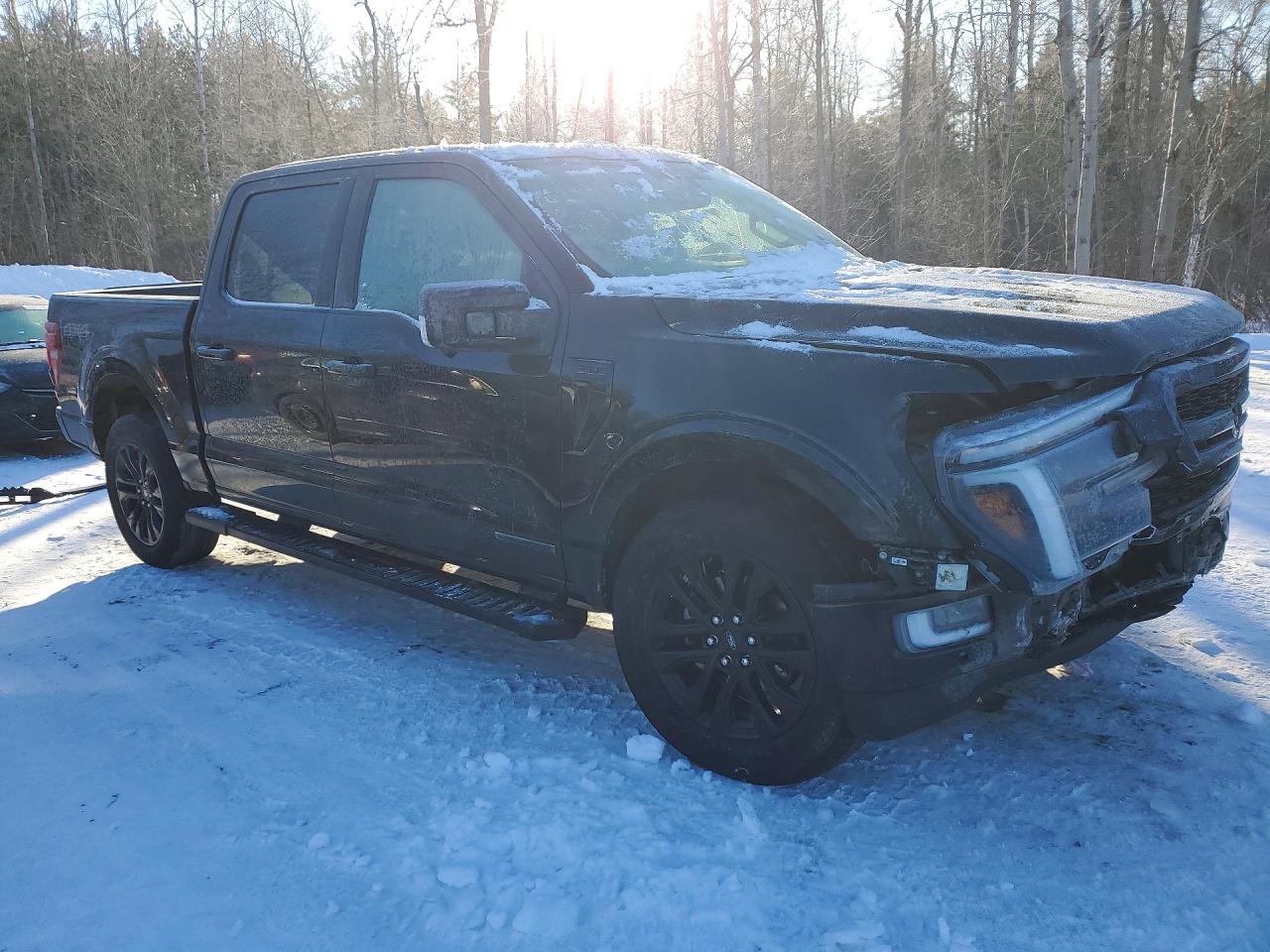 2024 Ford F150 laria VIN 1FTFW5LD8RFA65029 photo 4