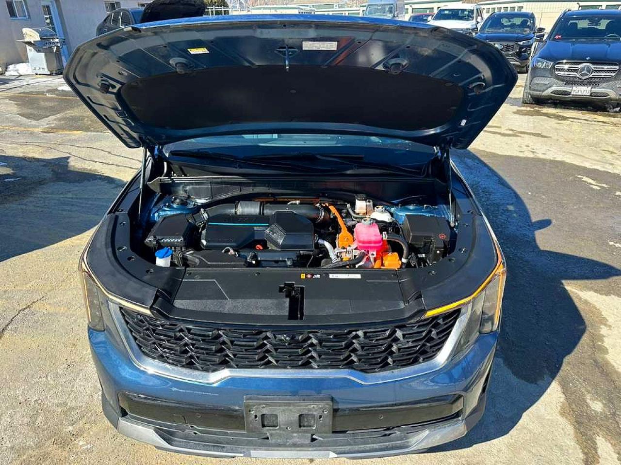 2025 KIA Sorento VIN KNDRKDJG5S5296000 photo 6