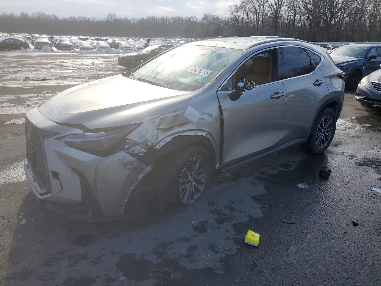 2024 Lexus Nx 350 pre VIN 2T2GGCEZ1RC038838 photo 1