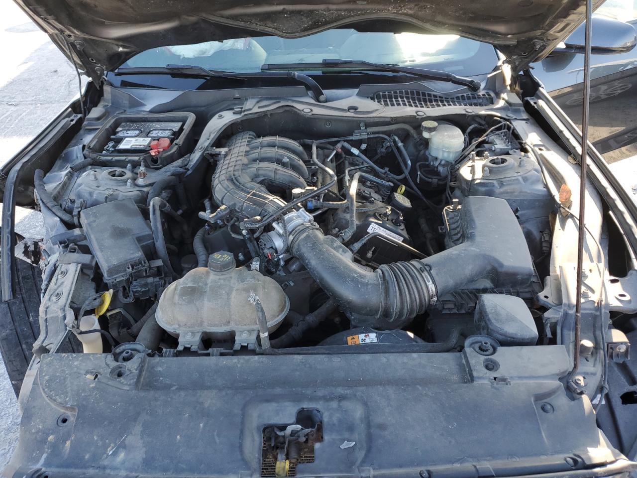 2016 Ford All models VIN 1FA6P8AM4G5211257 photo 11