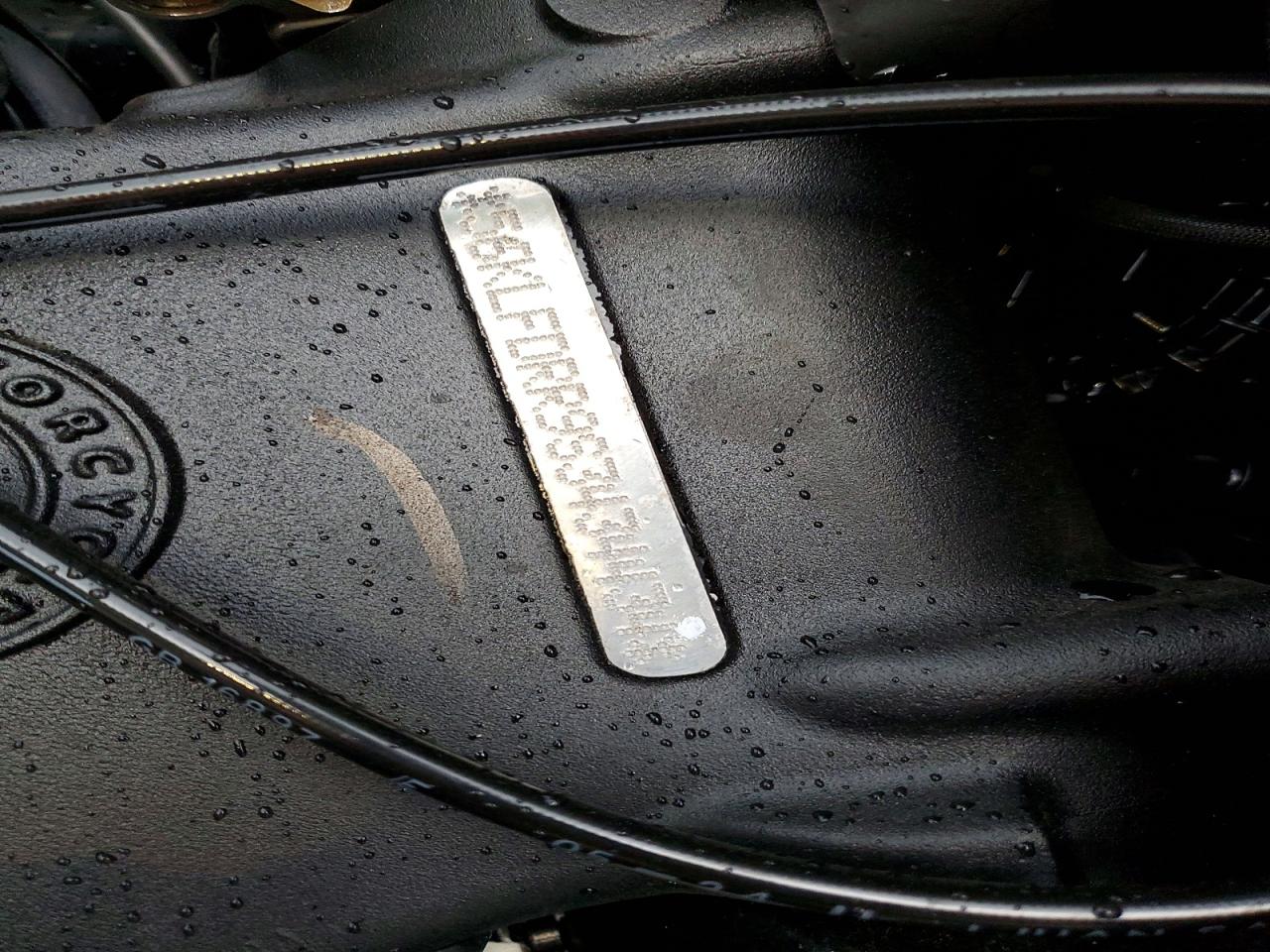 2025 INDIAN Motorcycle VIN 56KLFDRR9S3434434 photo 8