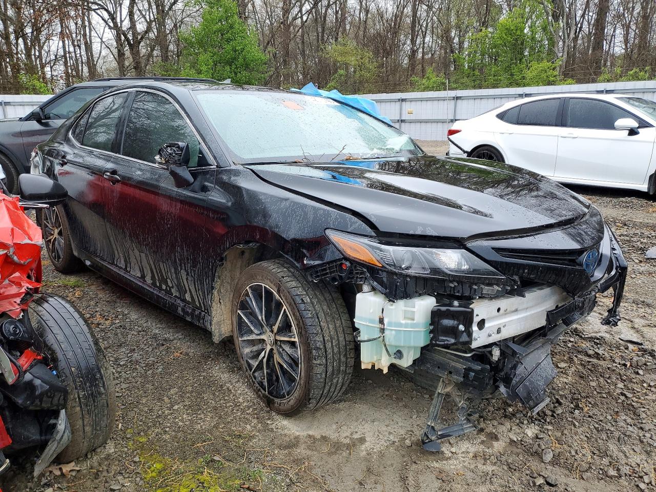 2023 Toyota Camry sola VIN 4T1G31AK4PU616827 photo 4