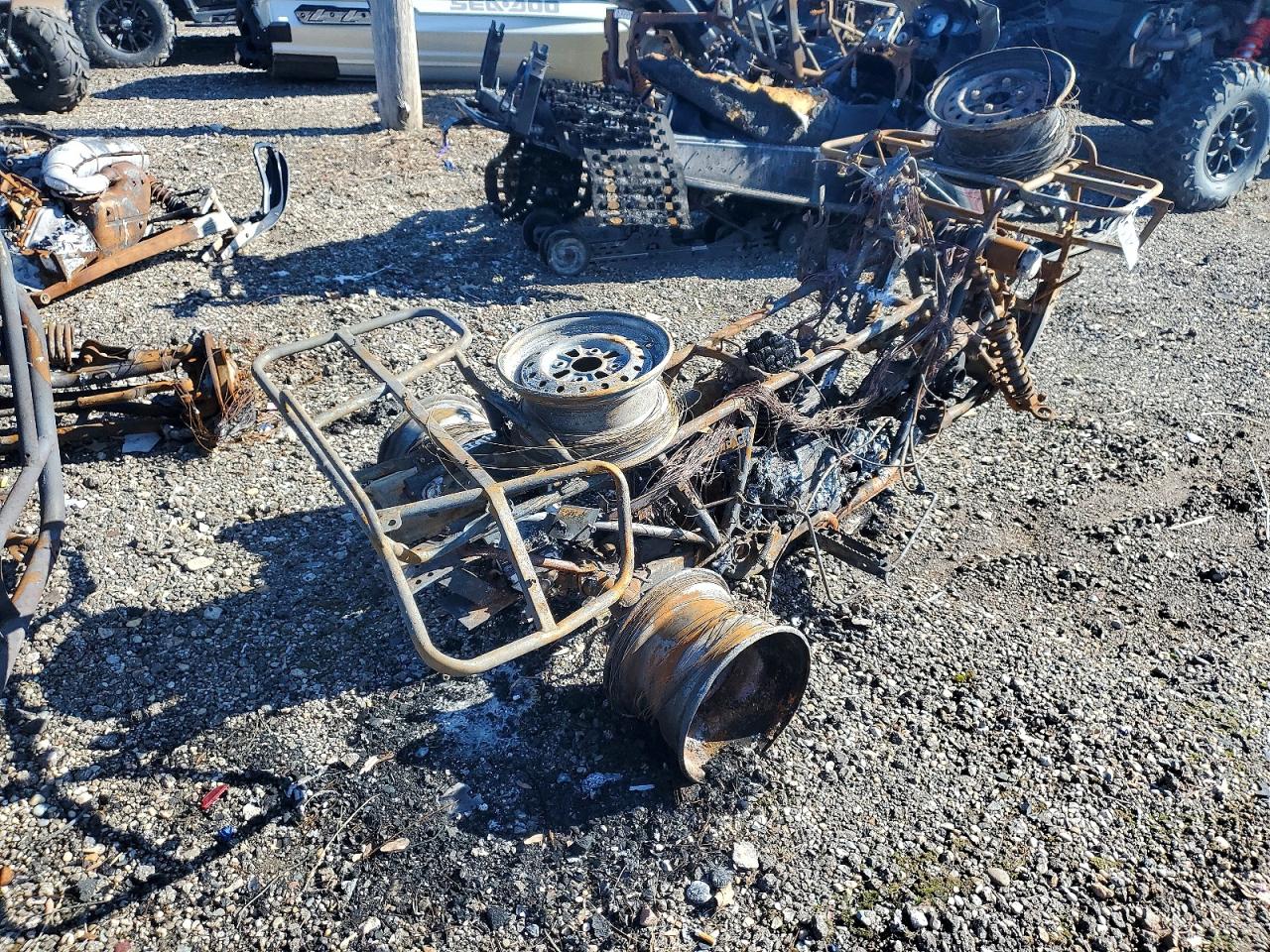 2006 Honda Trx VIN 1HFTE290064200607 photo 4