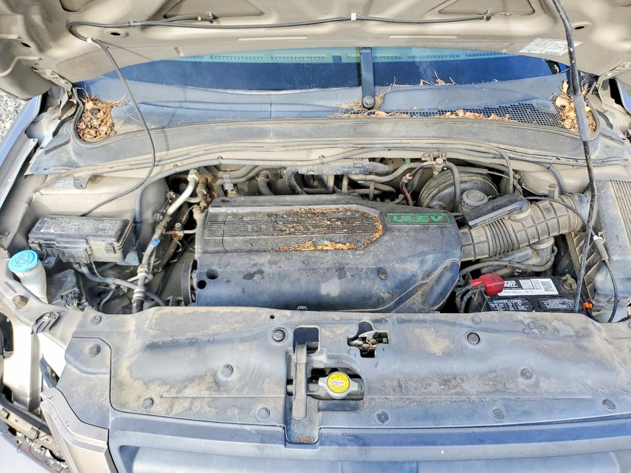 2003 Honda Pilot VIN 2HKYF18643H555248 photo 12