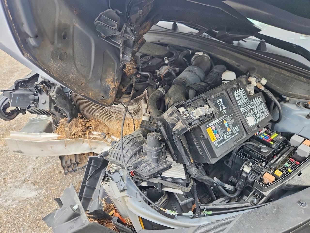 2022 Kia K5 VIN 5XXG24J29NG126248 photo 11