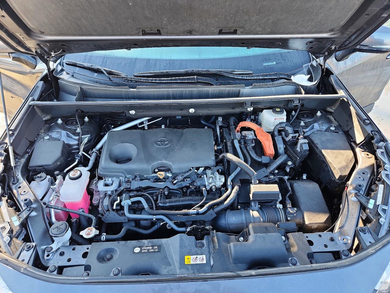 2024 Toyota Rav4 VIN 4T3RWRFV1RU116412 photo 12