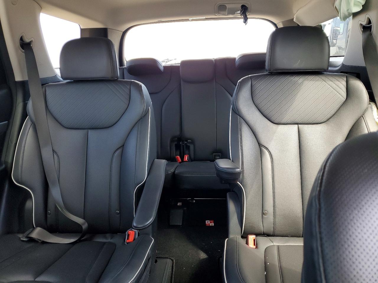 2024 Hyundai Palisade VIN KM8R2DGEXRU688181 photo 10