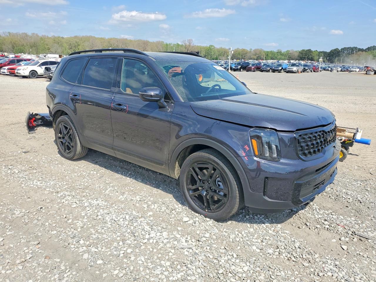 2025 Kia Telluride VIN 5XYP3DGC2SG725206 photo 4