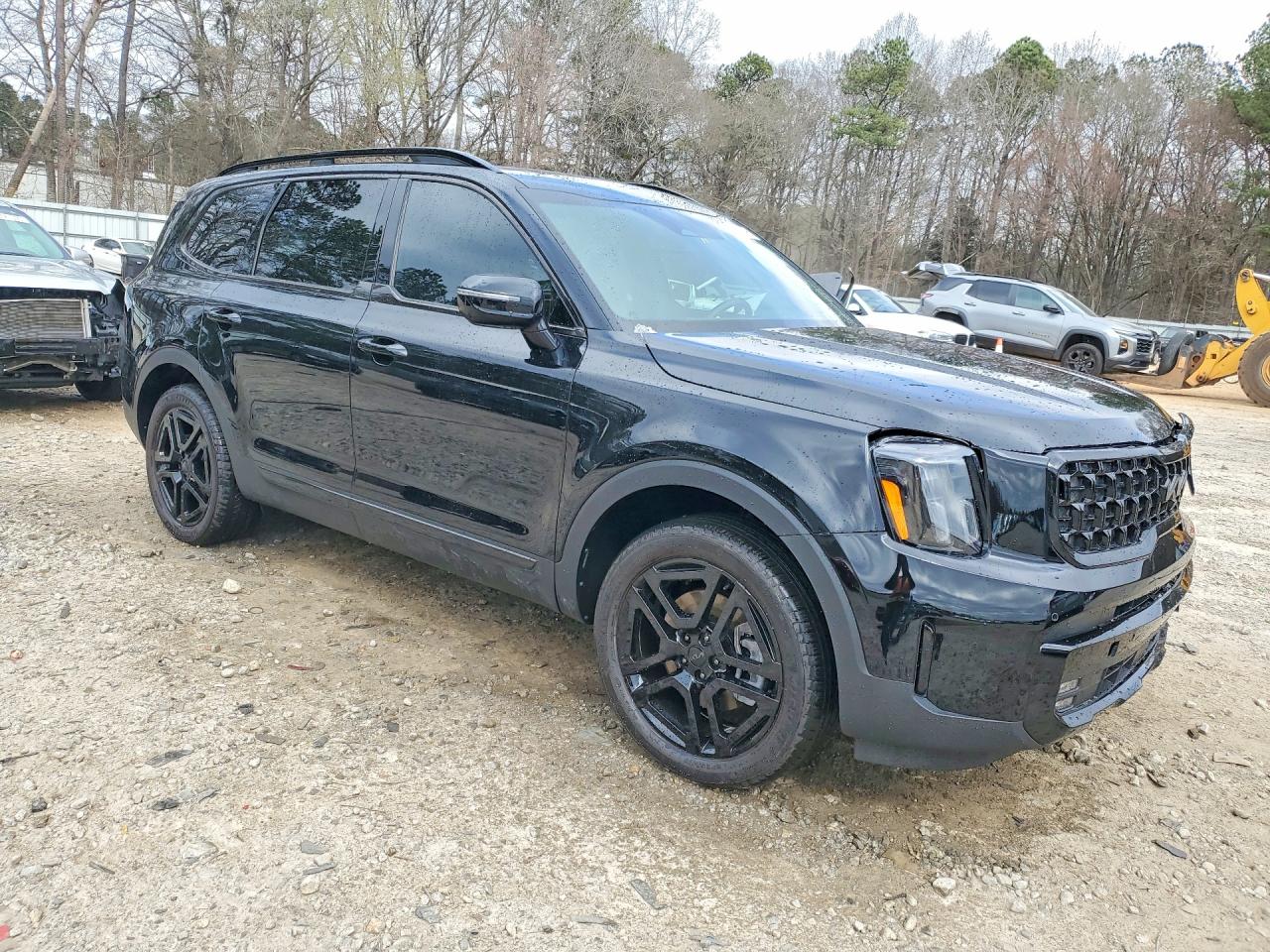 2025 Kia Telluride VIN 5XYP5DGC6SG719905 photo 4