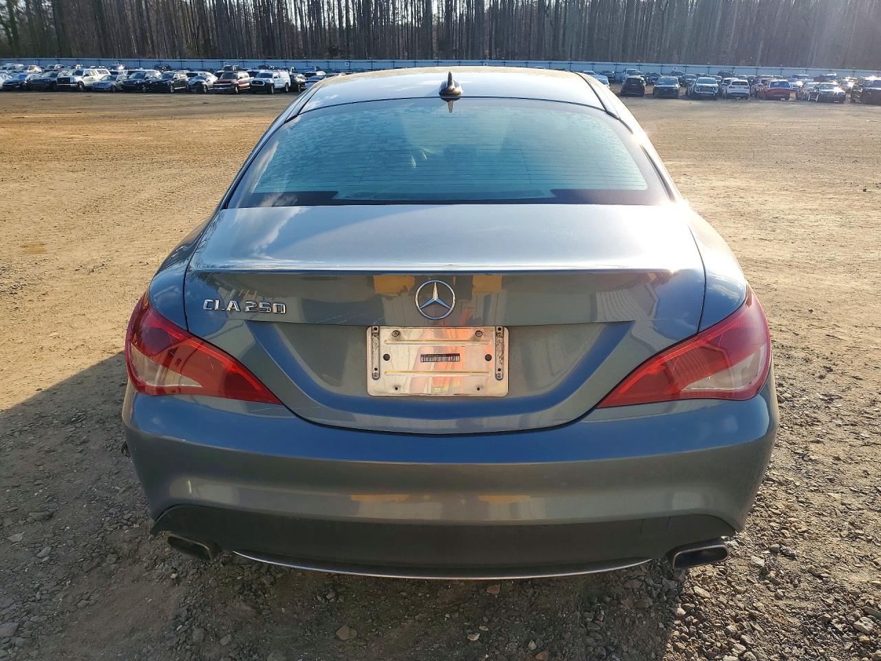 2014 Mercedes-Benz Cla-class VIN WDDSJ4EB0EN067253 photo 6