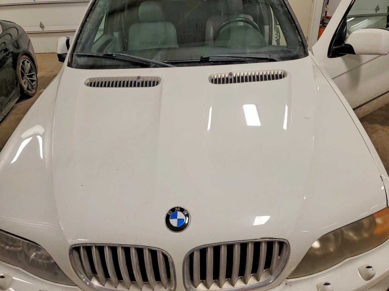 2006 BMW X5 VIN 5UXFB53536LV22751 photo 12