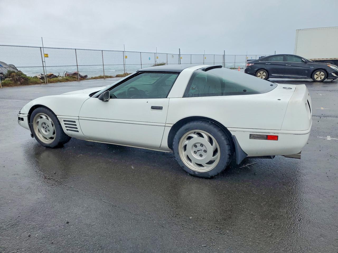 1991 CHEV Corvette VIN 1G1YY2381M5107259 photo 2