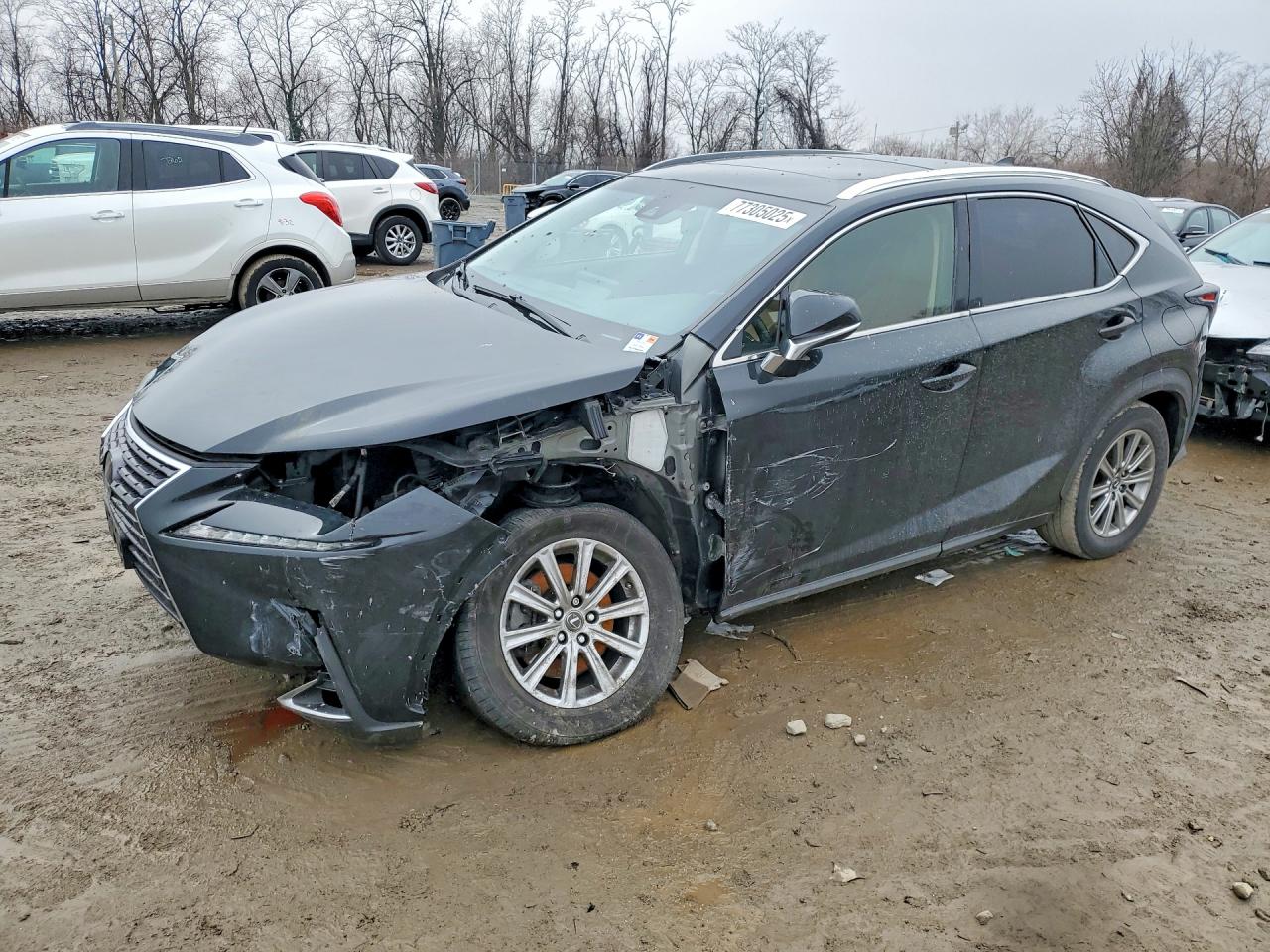 2018 Lexus Nx 300 VIN JTJBARBZ2J2177268 photo 1