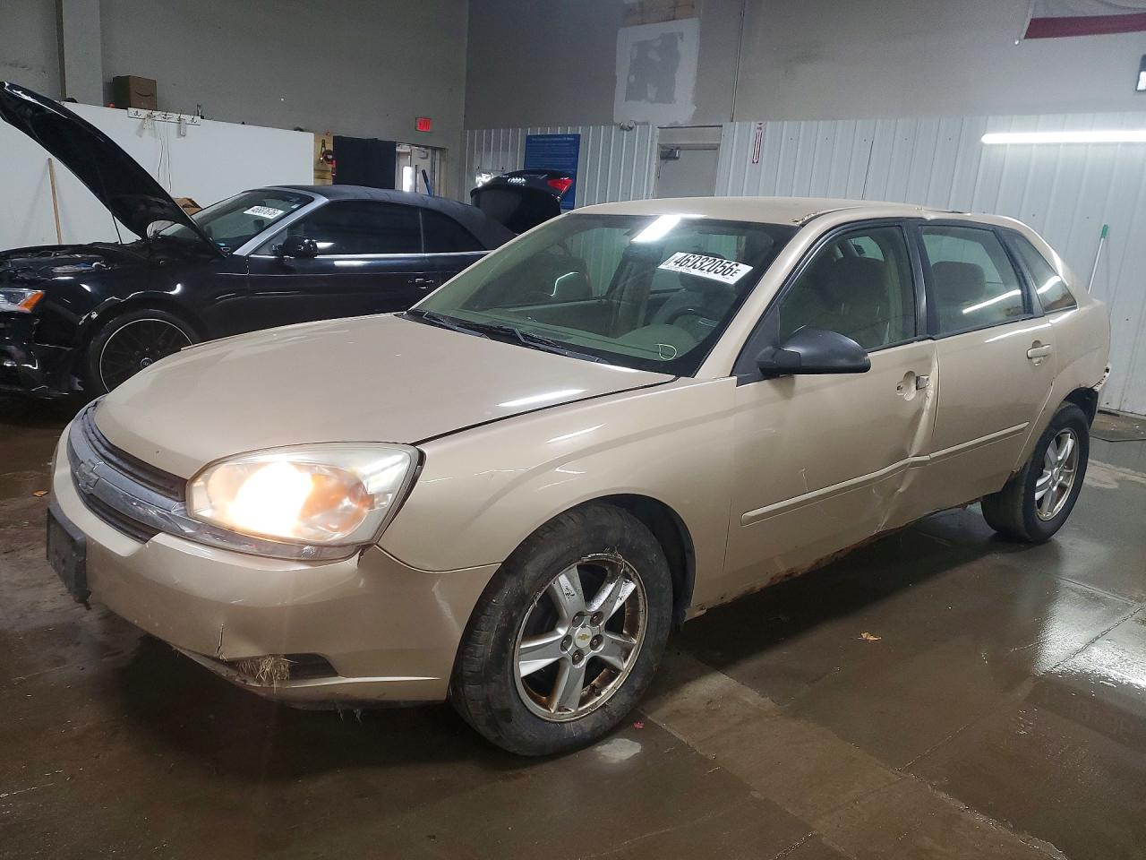 2005 Chevrolet Malibu VIN 1G1ZT628X5F183800 photo 1
