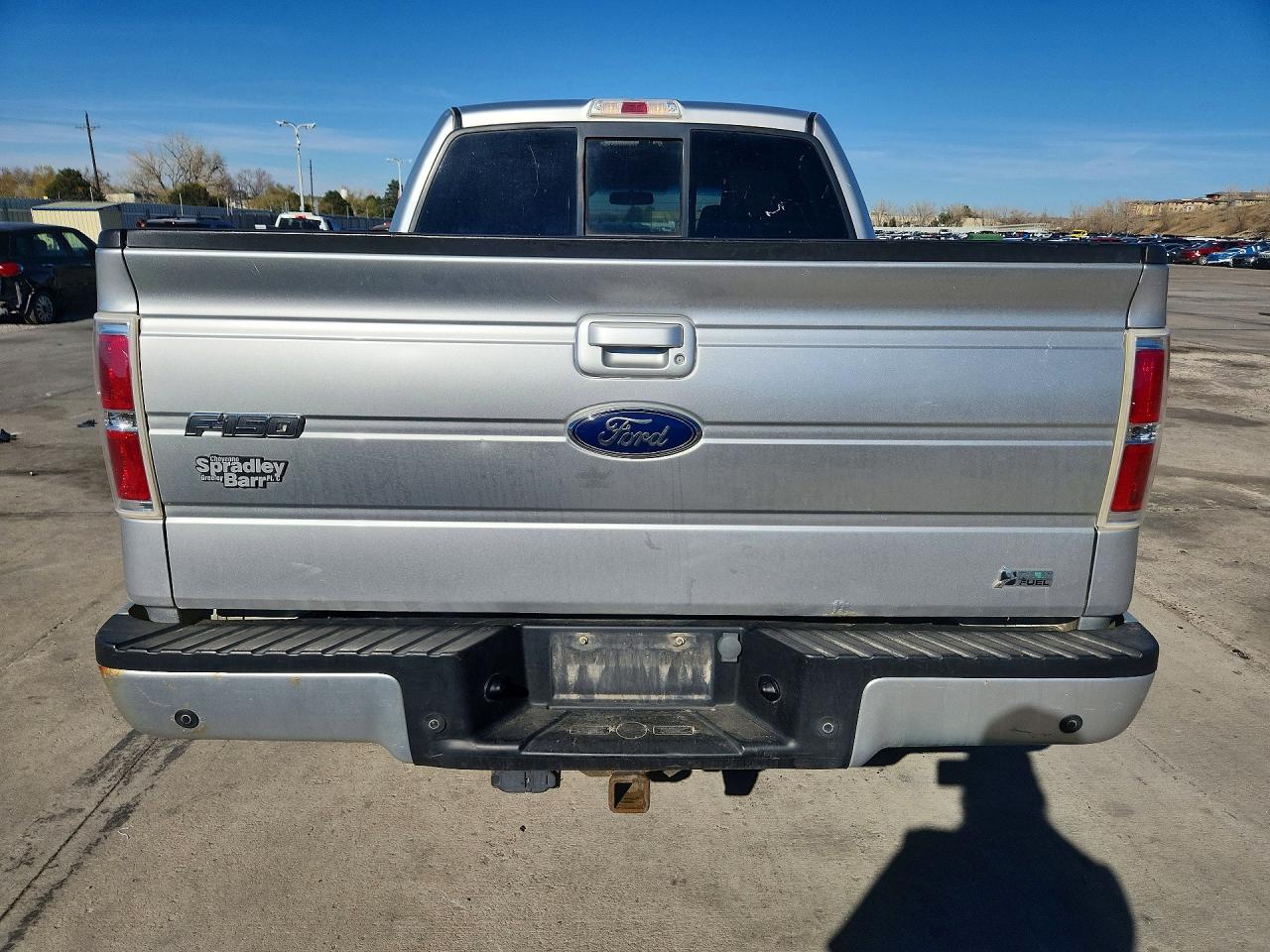2010 FORD F150 VIN 1FTFW1EV7AFC51521 photo 6