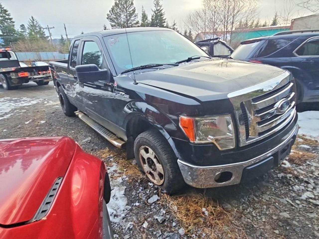 2011 FORD F150 VIN 1FTEX1CMXBFB99550 photo 4
