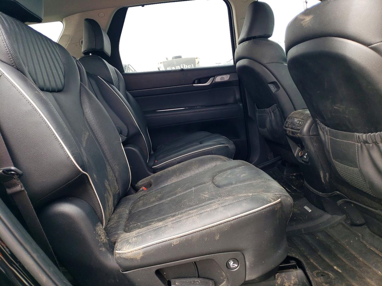 2023 Hyundai Palisade VIN KM8R5DGE0PU565509 photo 10