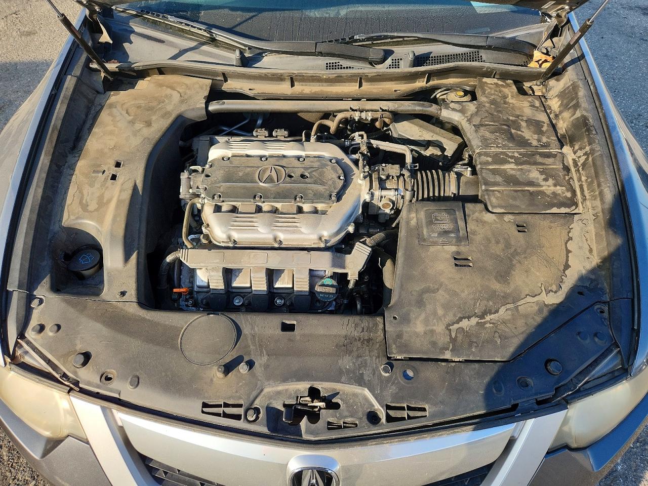 2010 Acura Tsx VIN JH4CU4F60AC003371 photo 11
