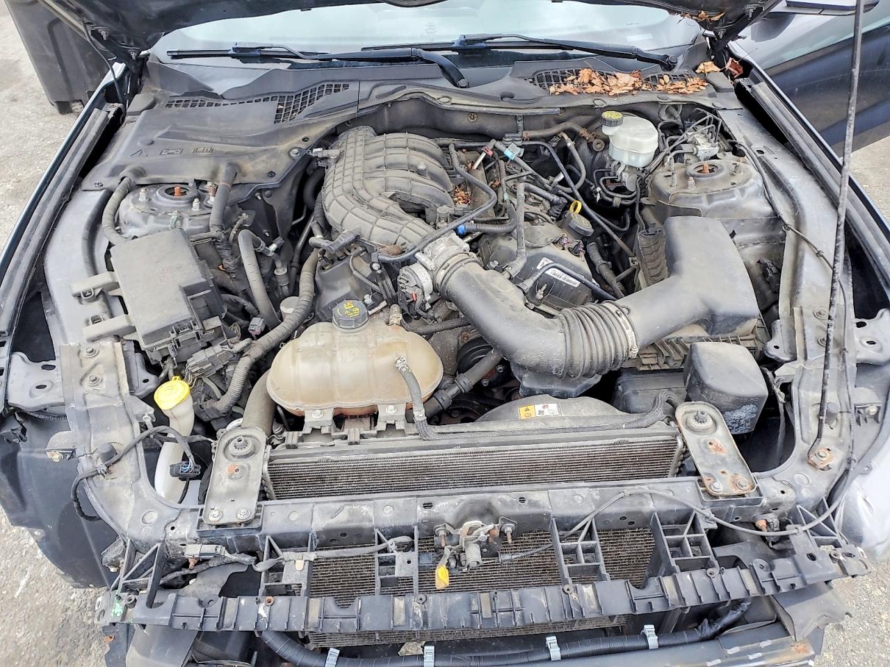 2017 Ford Mustang VIN 1FA6P8AM1H5229913 photo 11