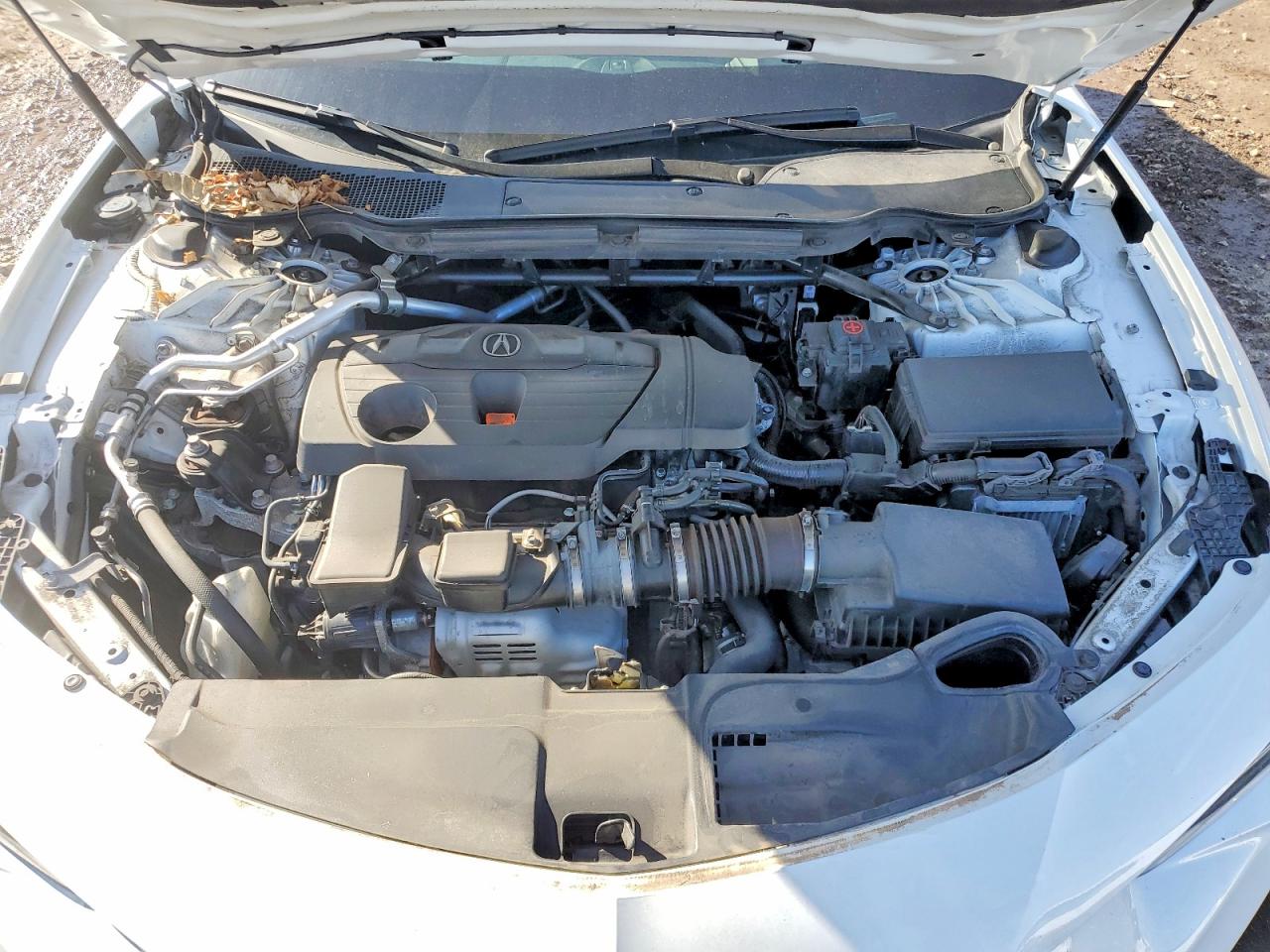 2024 Acura Tlx VIN 19UUB6F5XRA001070 photo 11