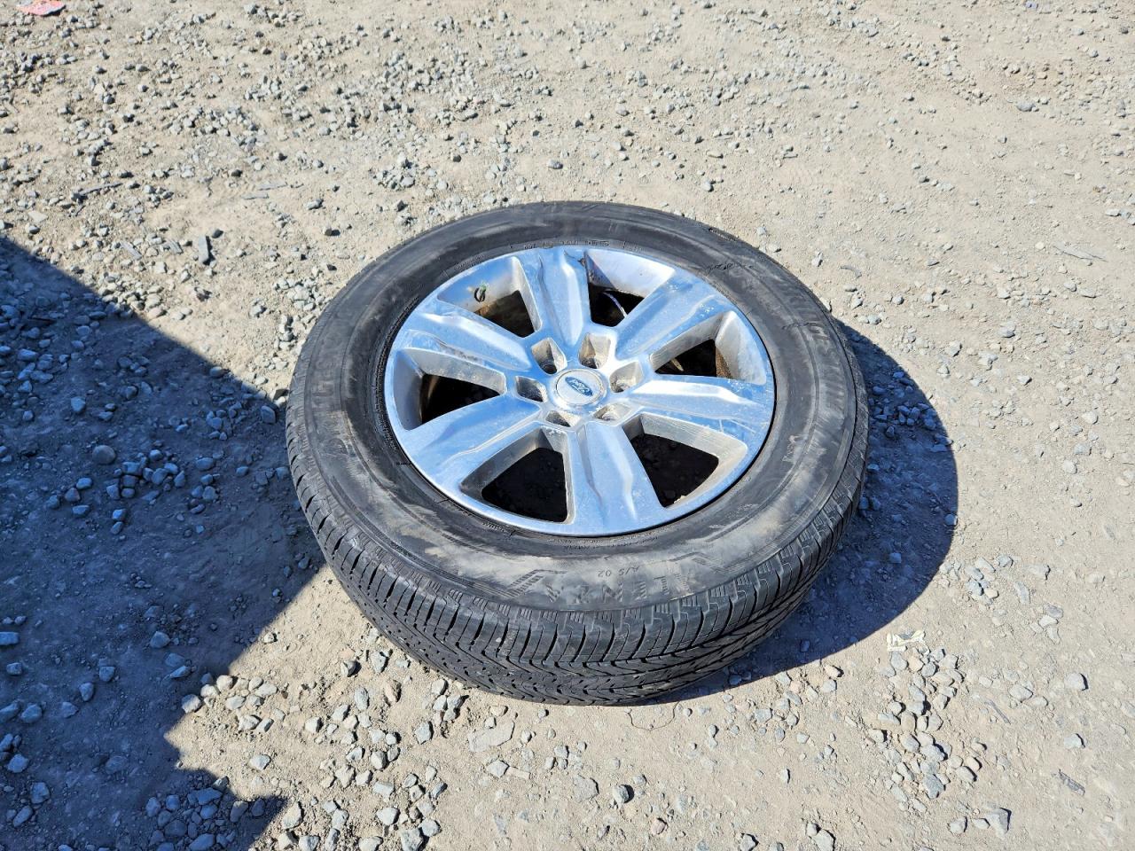 2015 Ford F150 VIN 1FTEW1EG3FFB52862 photo 12