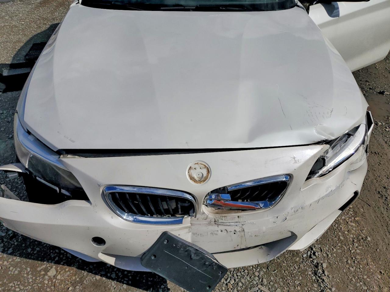 2016 BMW 2 series VIN WBA1K9C56GV710301 photo 11